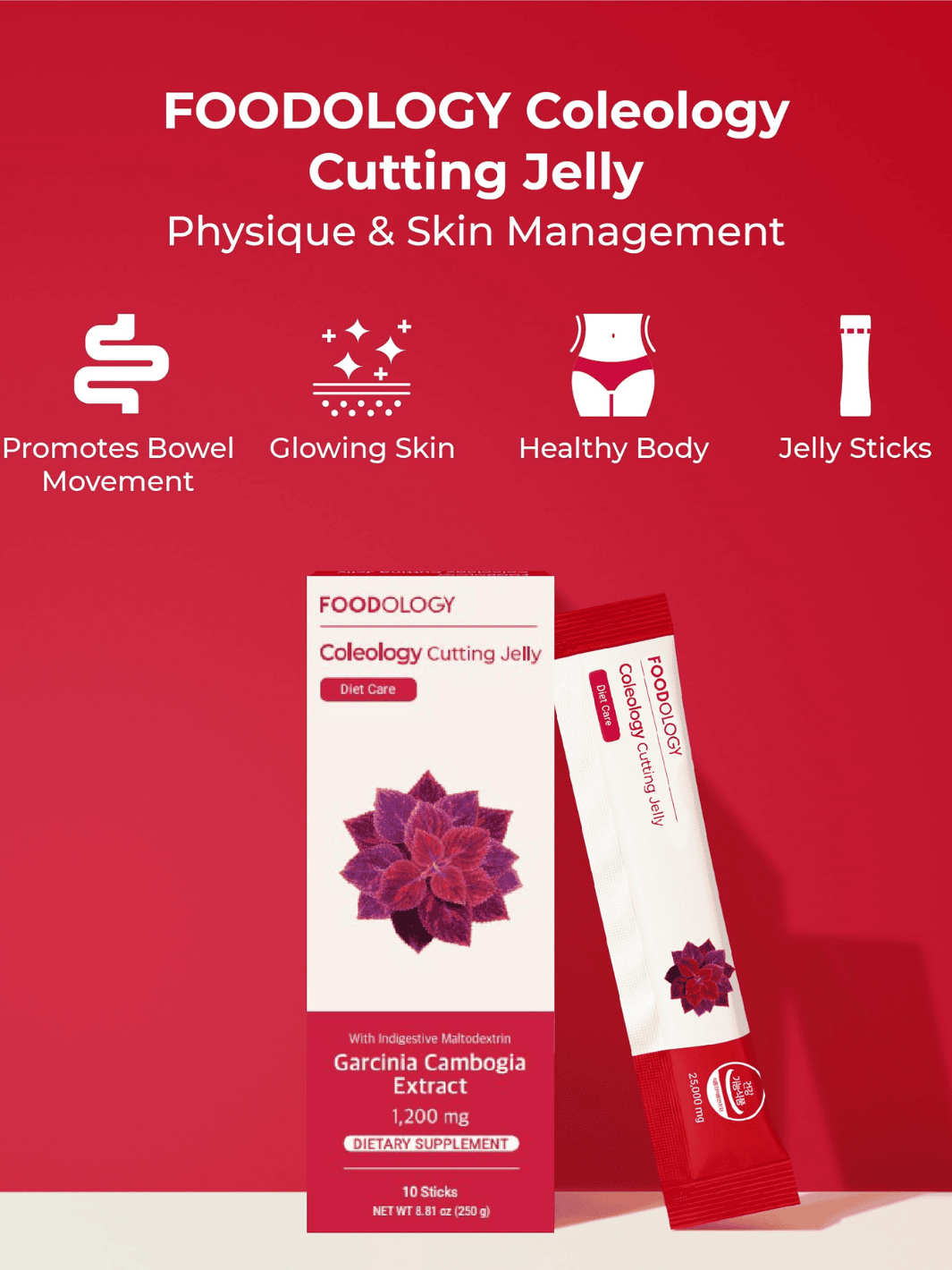 FOODOLOGY Coleology まとめ Foodology | Coleology Cutting Jelly (10 Sticks) | Rose Korean Beauty